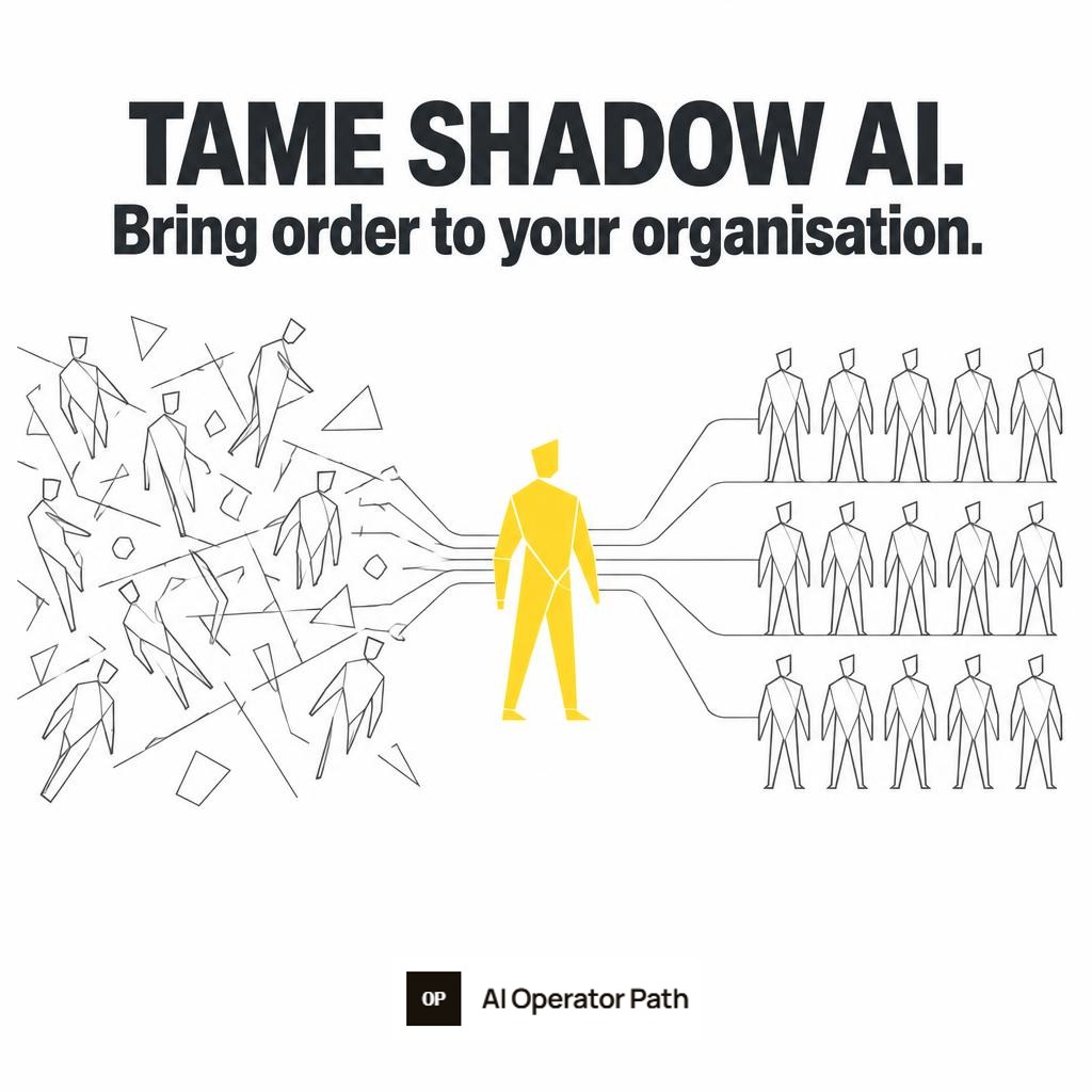 Tame shadow AI. Bring order to your organisation.